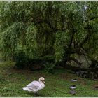 Usertreff im Tierpark Lange Erlen 07