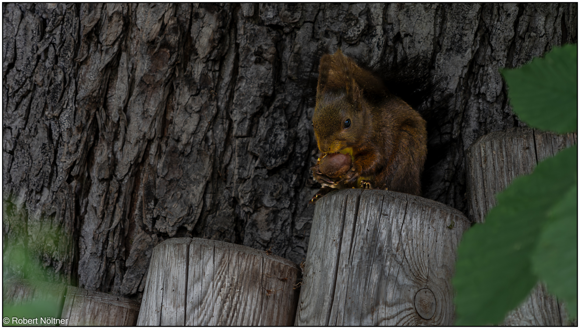 Usertreff im Tierpark Lange Erlen 08