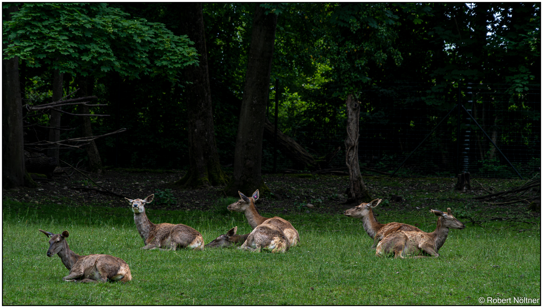 Usertreff im Tierpark Lange Erlen 09