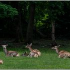 Usertreff im Tierpark Lange Erlen 09