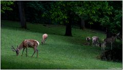 Usertreff im Tierpark Lange Erlen