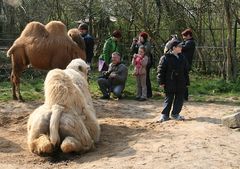 Usertreffen am 14.4.12