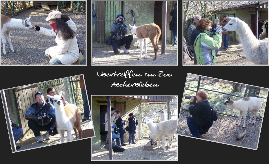 Usertreffen im Zoo Aschersleben