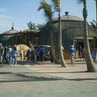 Ushaka Marine world in Durban