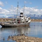 Ushuaia auf Feuerland