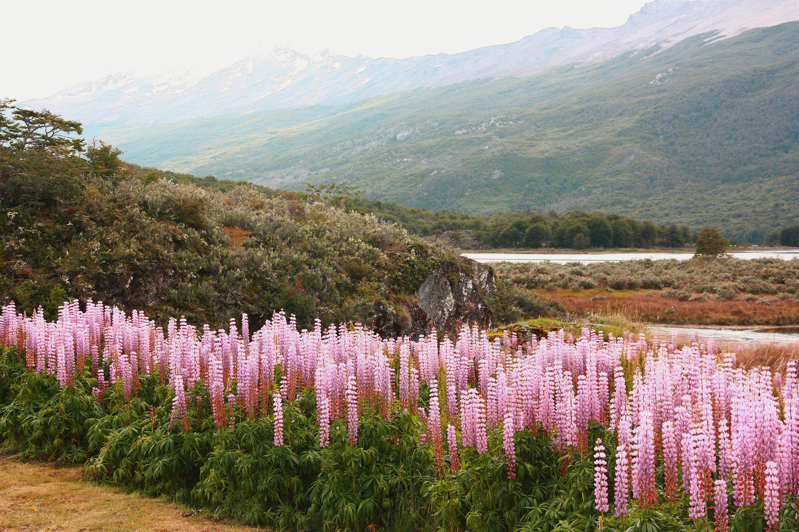 USHUAIA - End of the World (3)