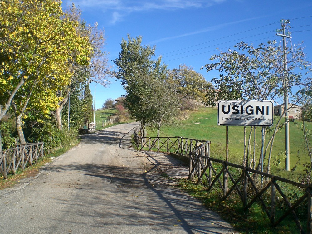 Usigni