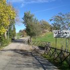 Usigni