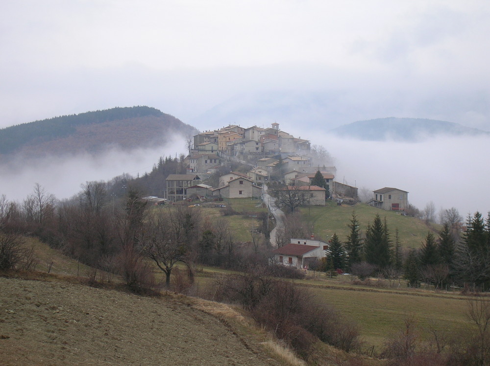 Usigni nella nebbia