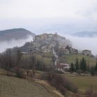 Usigni nella nebbia