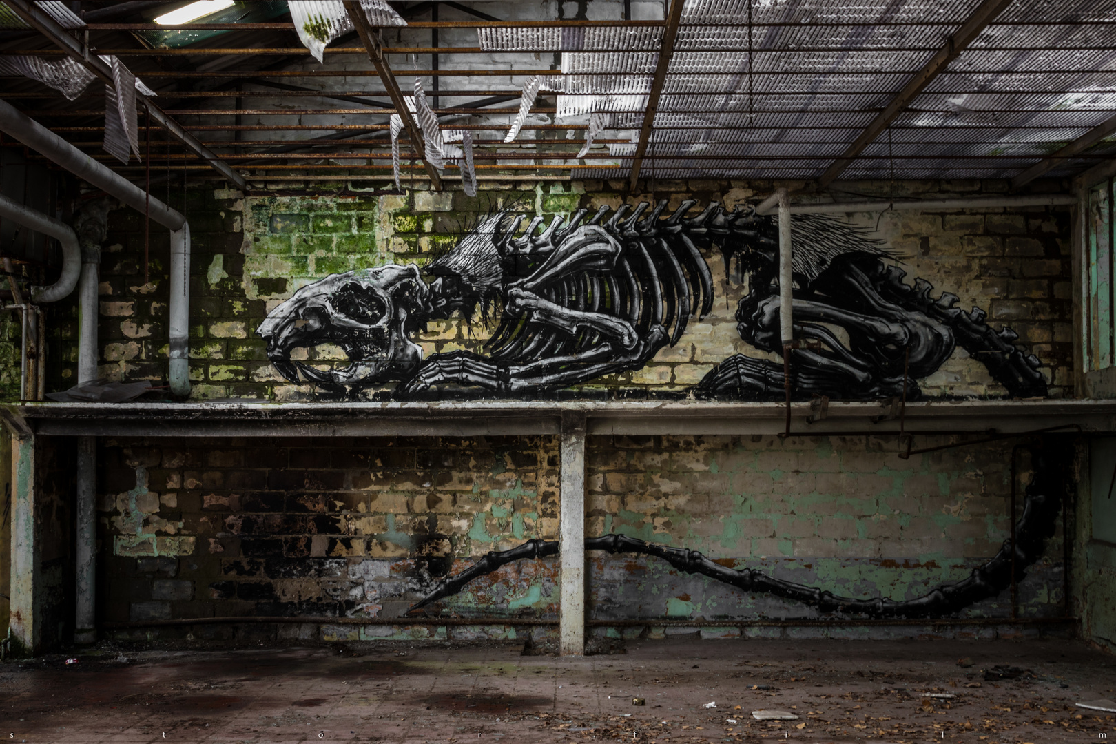 usine skeleton 