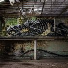 usine skeleton 