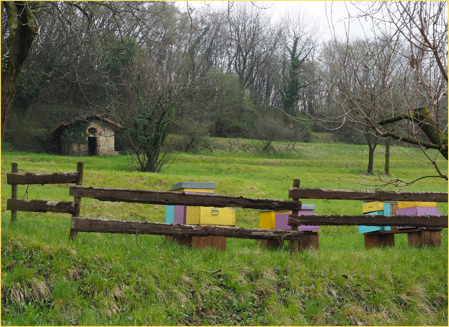 Usines à miel écologiques