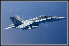 USMC F/A-18D Hornet VMFA(AW)224 Flying Bengals