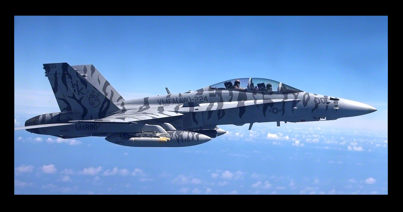 USMC F/A-18D Hornet - VMFA(AW)224 Flying Bengals