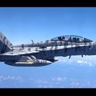 USMC F/A-18D Hornet - VMFA(AW)224 Flying Bengals