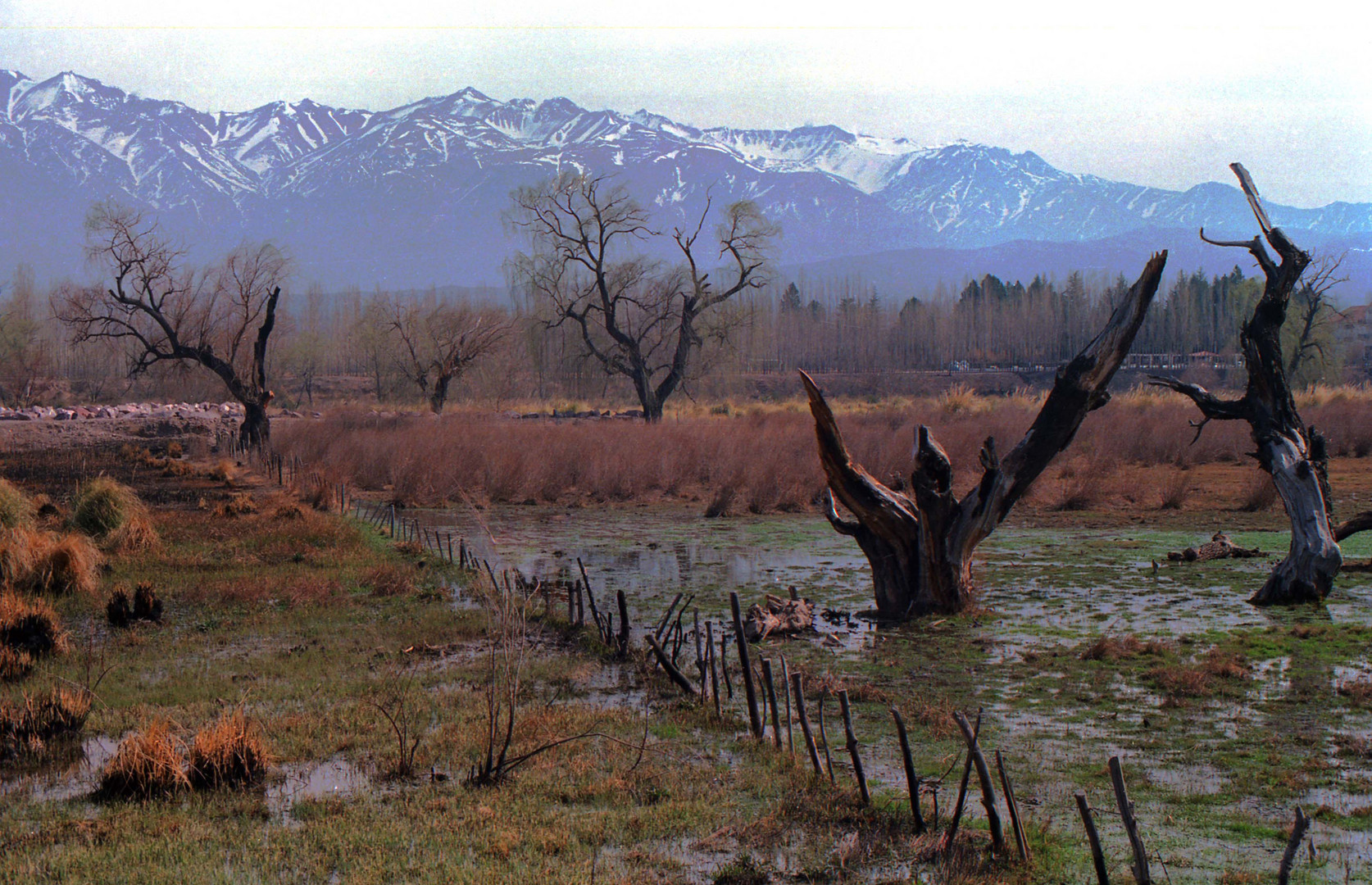 Uspallata, al pie de los Andes Argentinos.