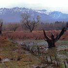 Uspallata, al pie de los Andes Argentinos.