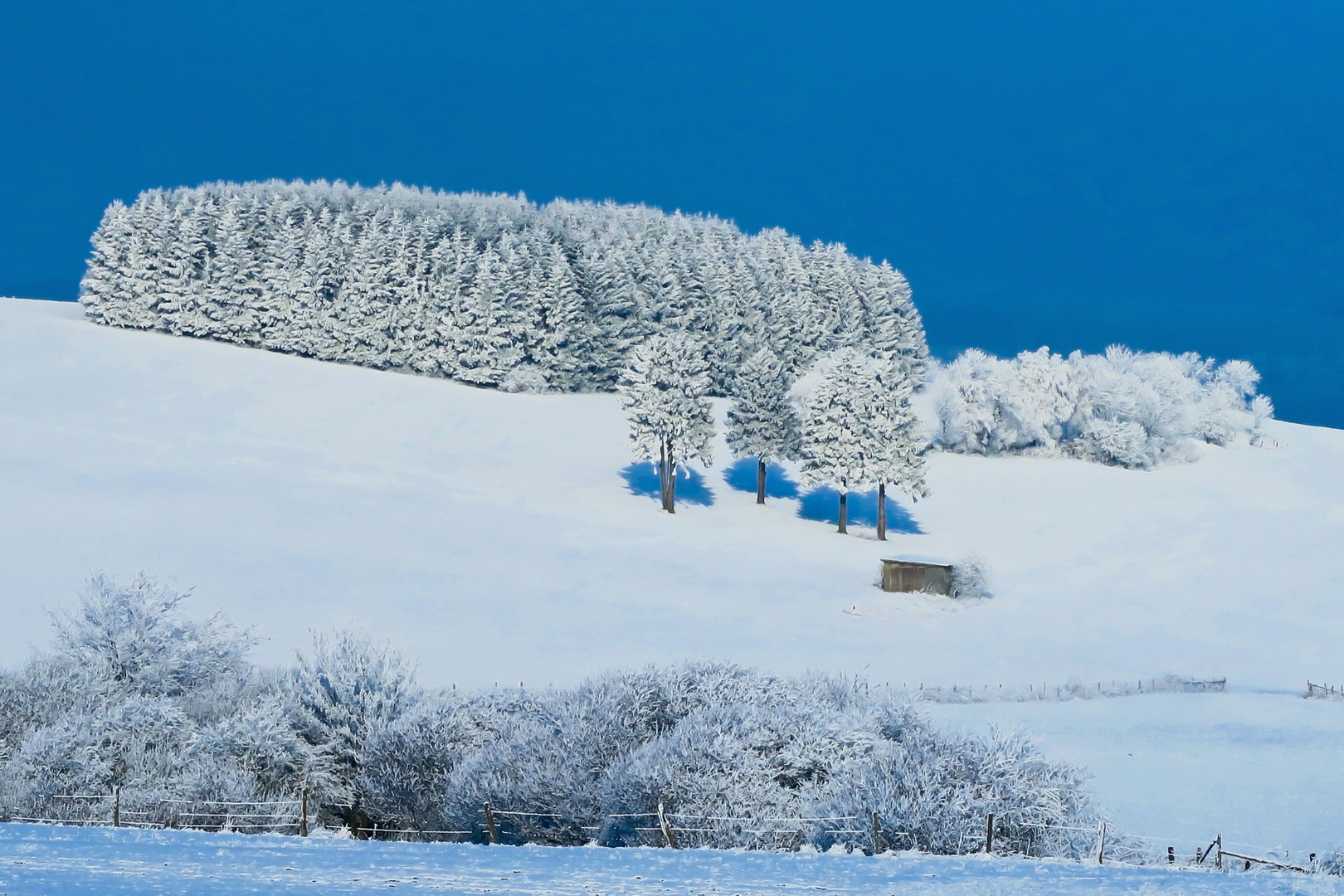 Usseln-im-Winter