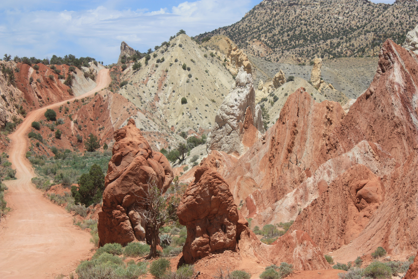 Utah 2009 / Cottonwood Canyon Road