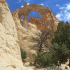 Utah 2009 / Grosvenor Arch