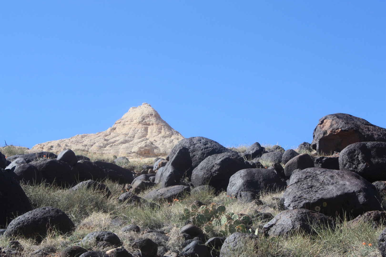 Utah 2009 / Navajo Knob