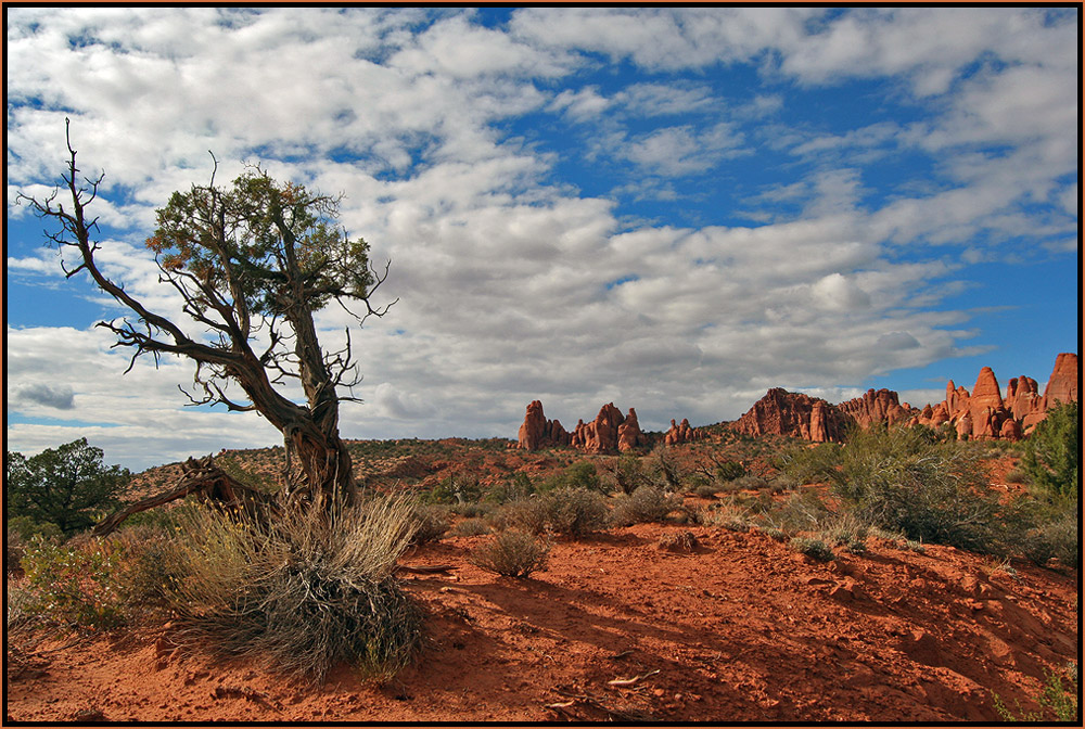 Utah - Arches Canyon