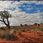 Utah - Arches Canyon