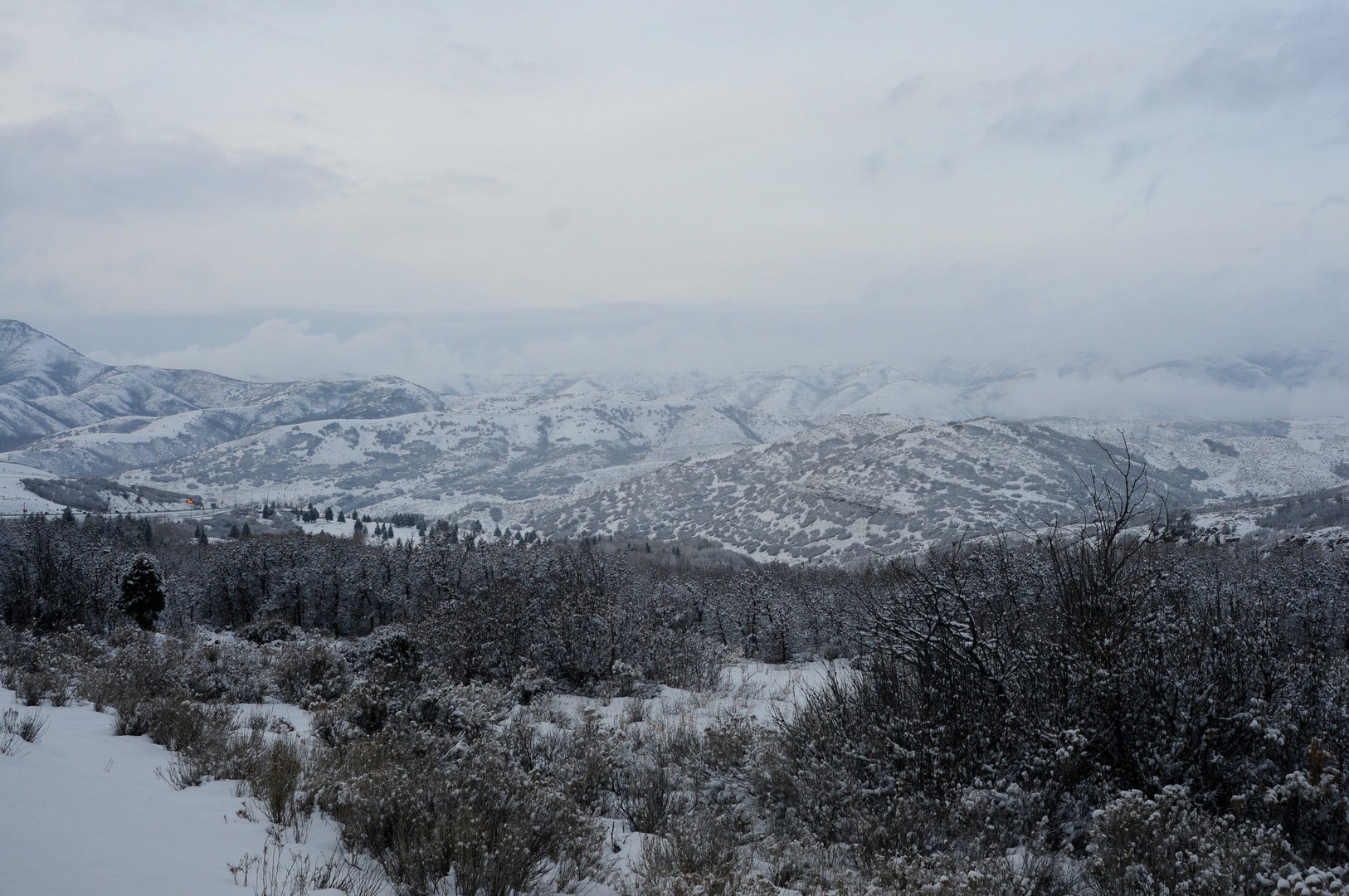 Utah Christmas Glory 2015