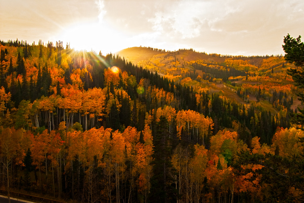 Utah Fall Colors