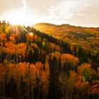 Utah Fall Colors