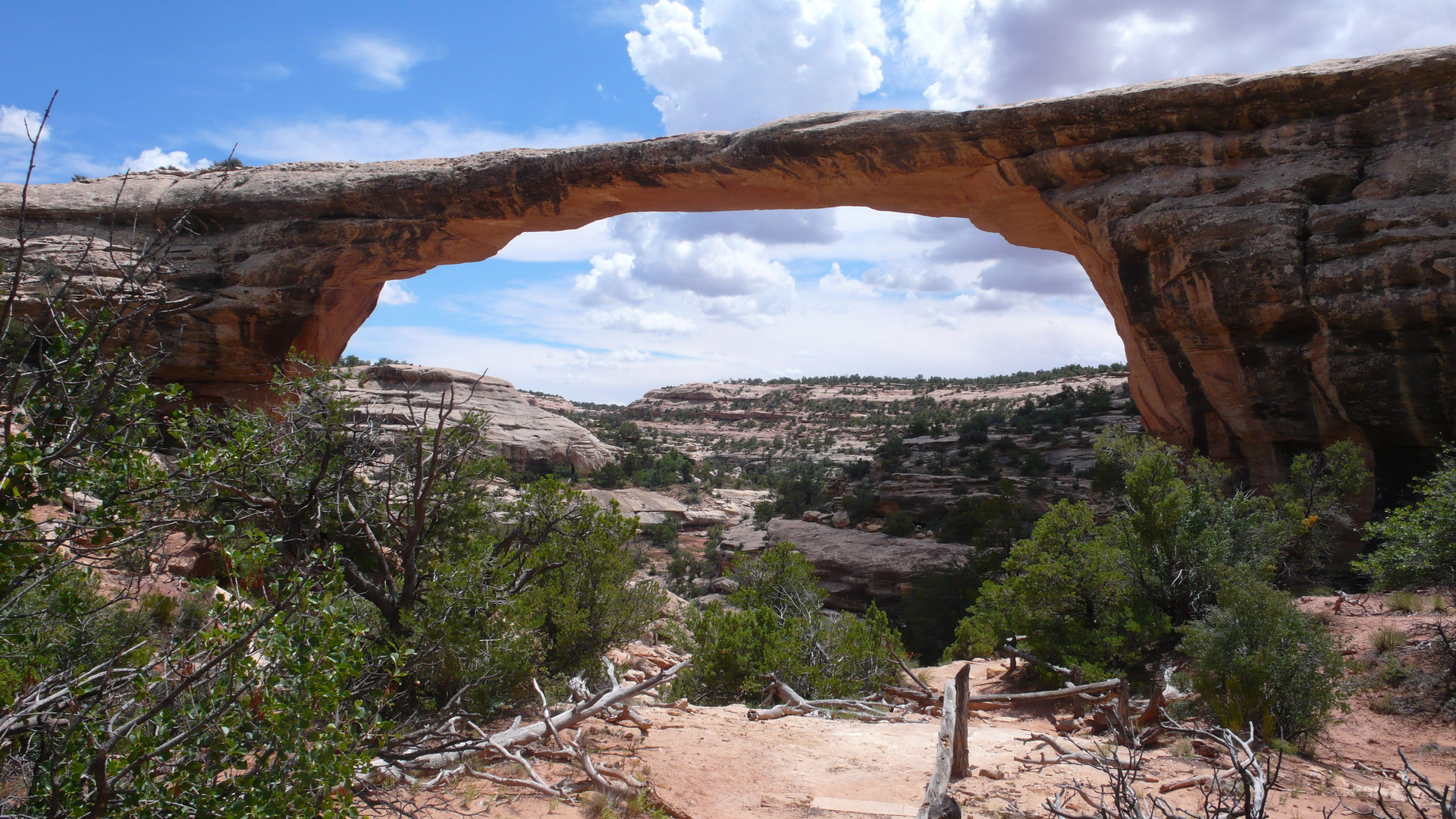 Utah Natural Bridges National Park Foto & Bild north america