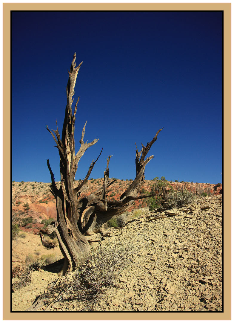 Utah - Paria Canyon