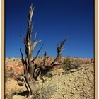 Utah - Paria Canyon