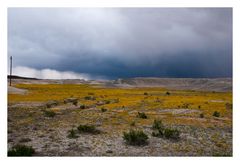 Utah .... verso Escalante