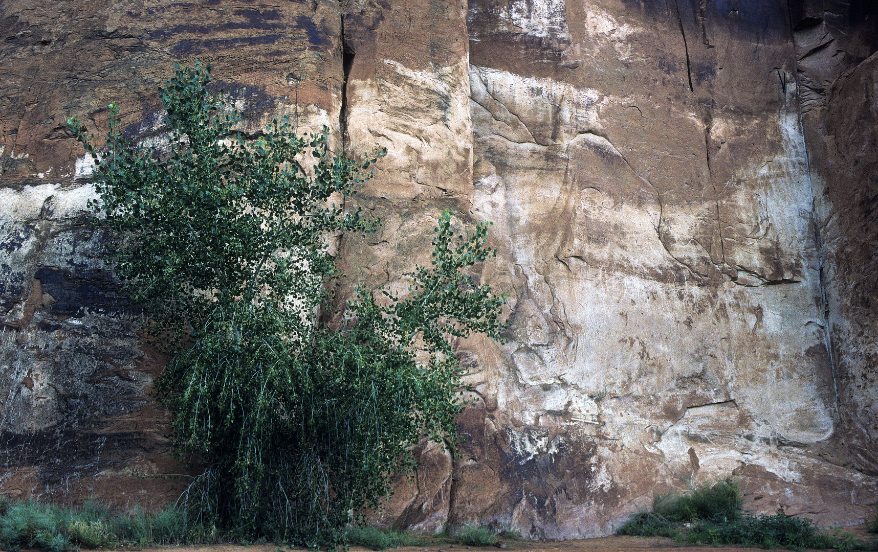 Utah Wall