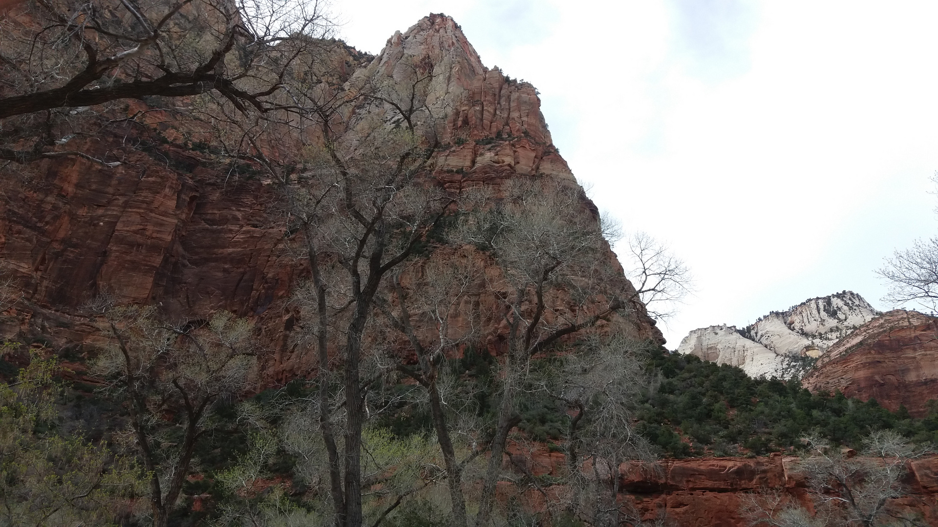 Utah; Zion-Nationalpark