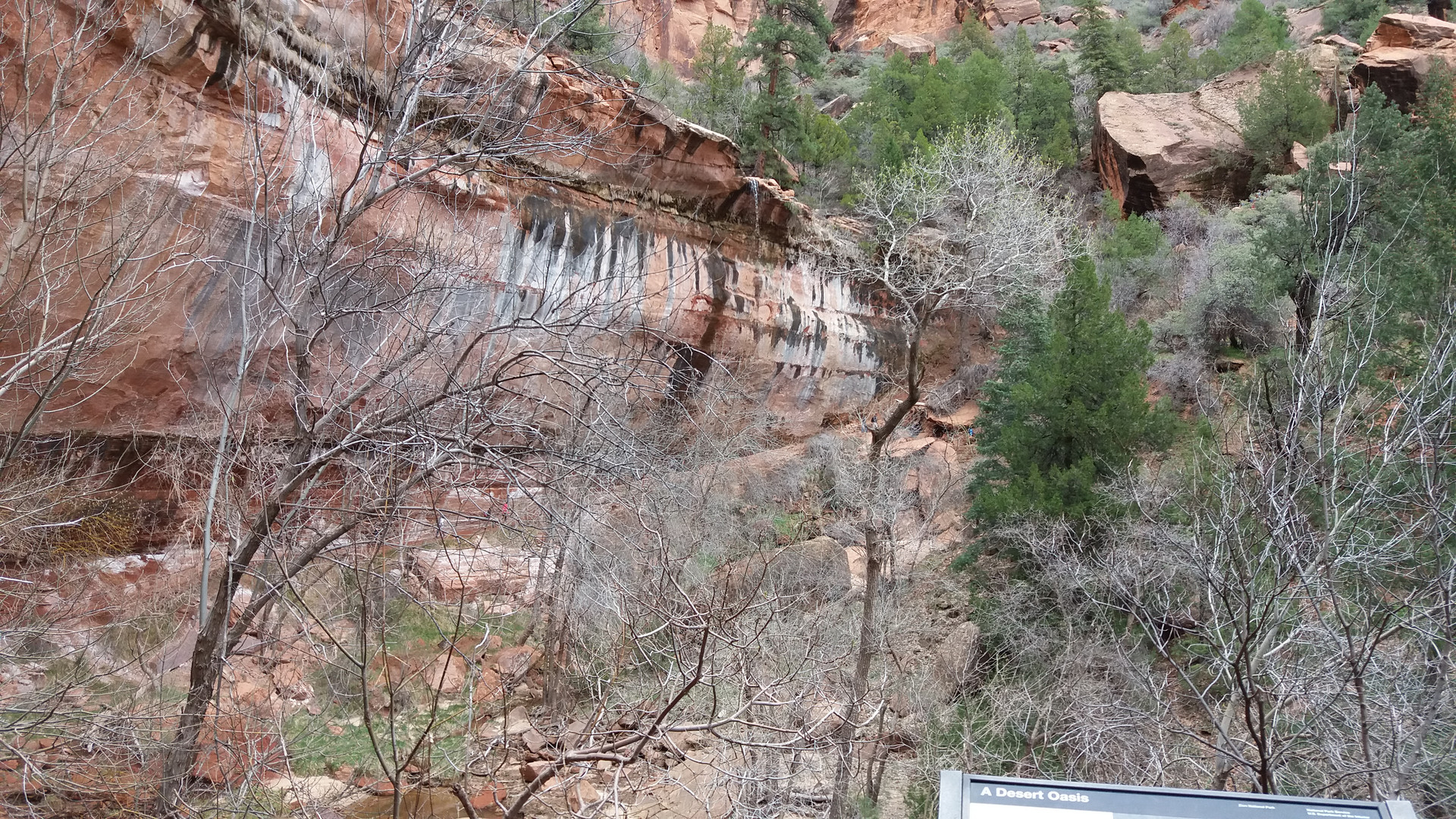 Utah; Zion-Nationalpark