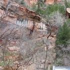 Utah; Zion-Nationalpark