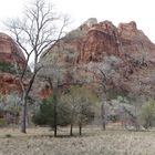 Utah; Zion-Nationalpark