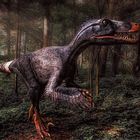 Utahraptor