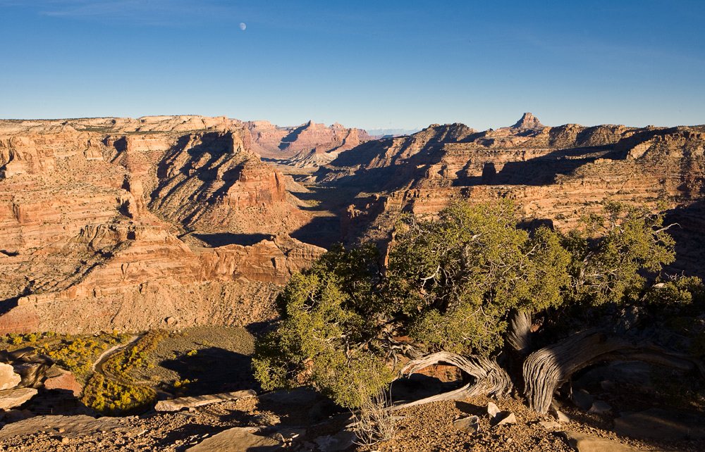 Utahs Little Grand Canyon