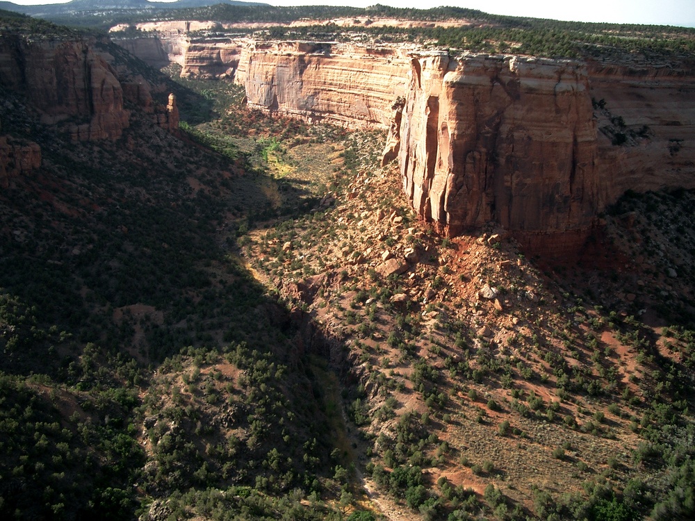 Ute Canyon  im Colorado National Monument USA