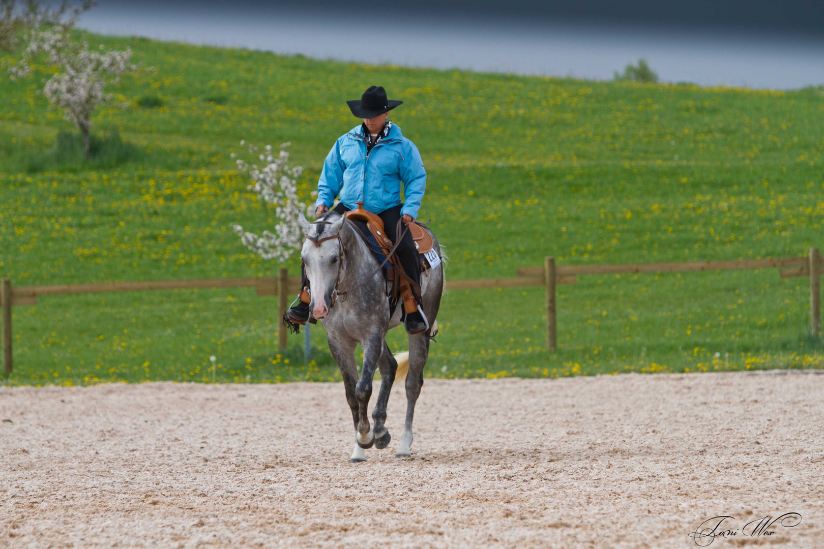 Ute und Quick