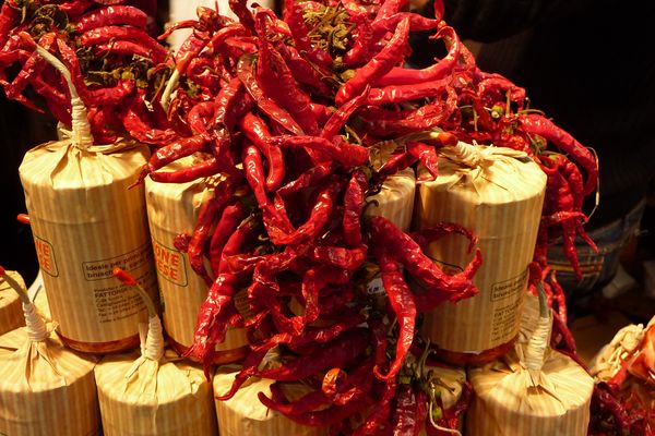 Utilizzare con cautela.