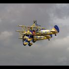 Utterly Butterly Wingwalkers