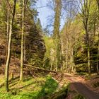 Uttewalder Grund (12)