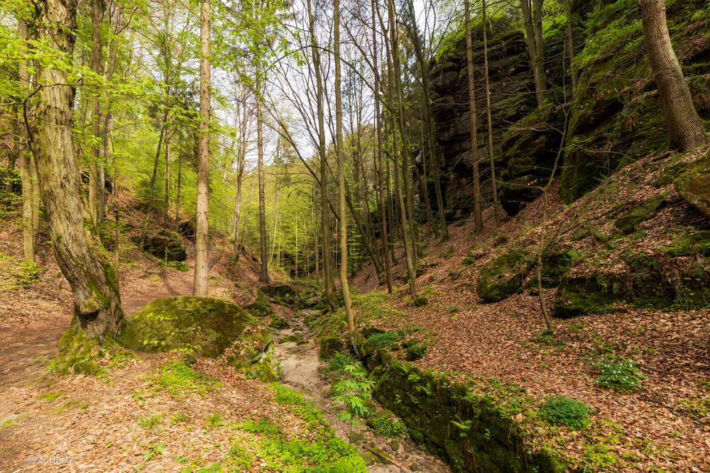 Uttewalder Grund (6)