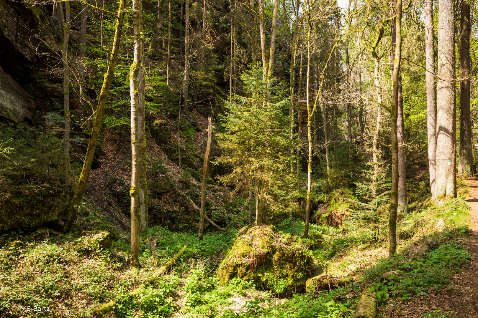 Uttewalder Grund (9)
