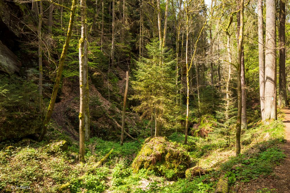 Uttewalder Grund (9)